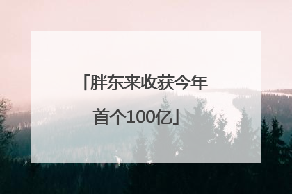 胖东来收获今年首个100亿