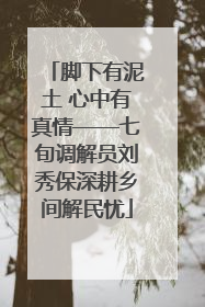 脚下有泥土 心中有真情——七旬调解员刘秀保深耕乡间解民忧