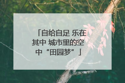 自给自足 乐在其中 城市里的空中“田园梦”