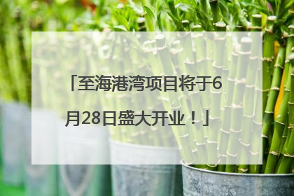 至海港湾项目将于6月28日盛大开业！