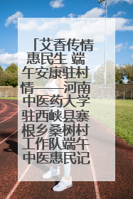 艾香传情惠民生 端午安康驻村情——河南中医药大学驻西峡县寨根乡桑树村工作队端午中医惠民记