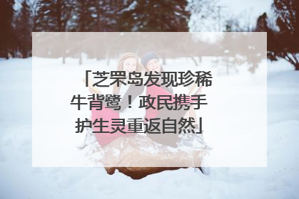 芝罘岛发现珍稀牛背鹭！政民携手护生灵重返自然