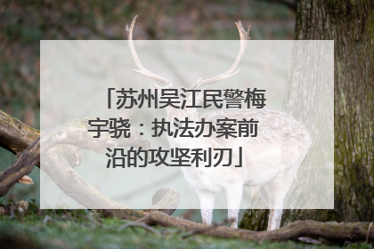 苏州吴江民警梅宇骁：执法办案前沿的攻坚利刃