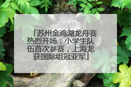 苏州金鸡湖龙舟赛热烈开场：小学生队伍首次参赛，上海龙获国际组冠亚军