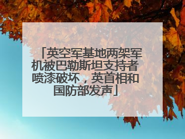 英空军基地两架军机被巴勒斯坦支持者喷漆破坏，英首相和国防部发声