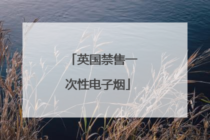 英国禁售一次性电子烟