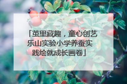 茧里藏趣，童心创艺 乐山实验小学养蚕实践绘就成长画卷