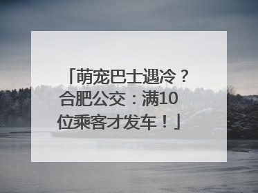 萌宠巴士遇冷？合肥公交：满10位乘客才发车！
