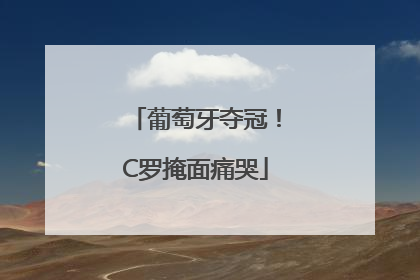 葡萄牙夺冠！C罗掩面痛哭