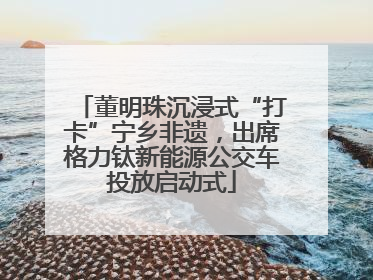 董明珠沉浸式“打卡”宁乡非遗，出席格力钛新能源公交车投放启动式