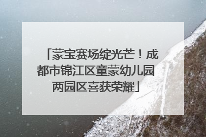 蒙宝赛场绽光芒！成都市锦江区童蒙幼儿园两园区喜获荣耀