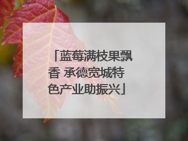 蓝莓满枝果飘香 承德宽城特色产业助振兴