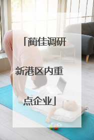 蔺佳调研新港区内重点企业