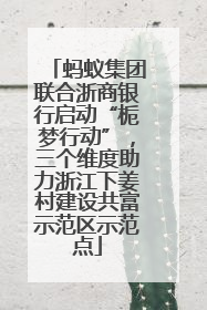 蚂蚁集团联合浙商银行启动“栀梦行动”，三个维度助力浙江下姜村建设共富示范区示范点