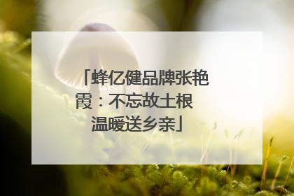 蜂亿健品牌张艳霞：不忘故土根 温暖送乡亲