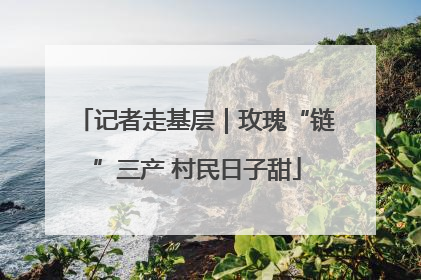 记者走基层｜玫瑰“链”三产 村民日子甜