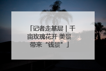 记者走基层｜千亩玫瑰花开 美景带来“钱景”