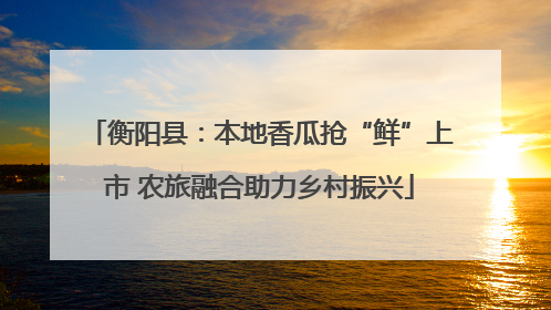 衡阳县：本地香瓜抢“鲜”上市 农旅融合助力乡村振兴