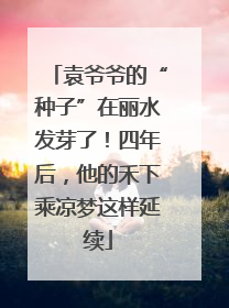 袁爷爷的“种子”在丽水发芽了！四年后，他的禾下乘凉梦这样延续