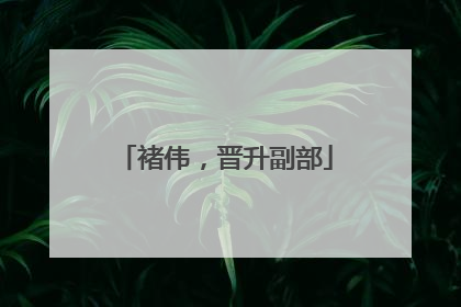 褚伟，晋升副部