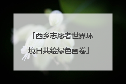 西乡志愿者世界环境日共绘绿色画卷