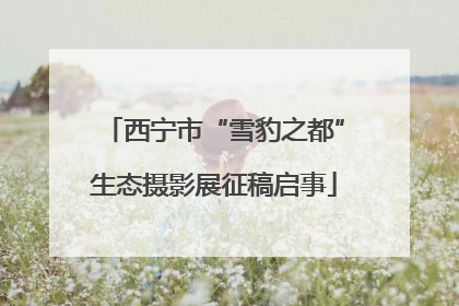 西宁市“雪豹之都”生态摄影展征稿启事