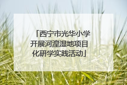 西宁市光华小学开展河湟湿地项目化研学实践活动