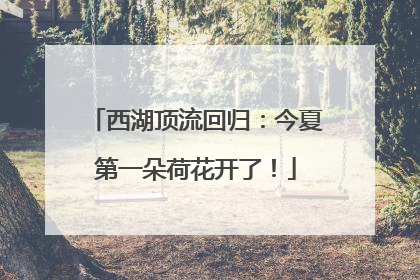 西湖顶流回归：今夏第一朵荷花开了！