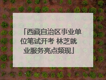 西藏自治区事业单位笔试开考 林芝就业服务亮点频现