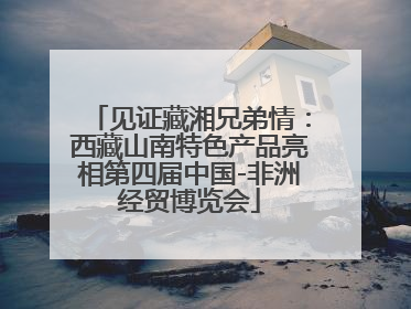 见证藏湘兄弟情：西藏山南特色产品亮相第四届中国-非洲经贸博览会