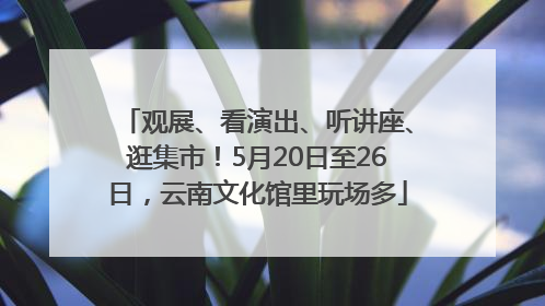 观展、看演出、听讲座、逛集市！5月20日至26日，云南文化馆里玩场多