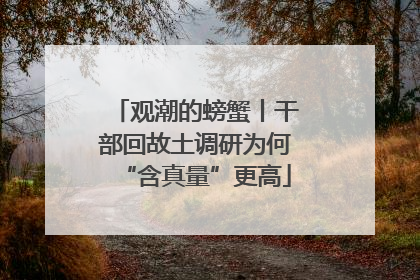 观潮的螃蟹丨干部回故土调研为何“含真量”更高