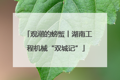 观潮的螃蟹丨湖南工程机械“双城记”