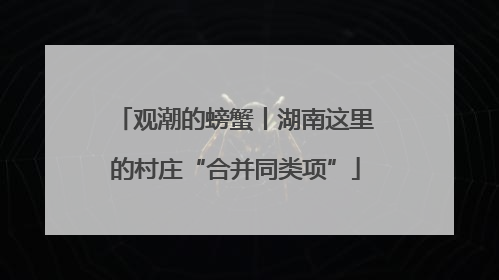 观潮的螃蟹丨湖南这里的村庄“合并同类项”