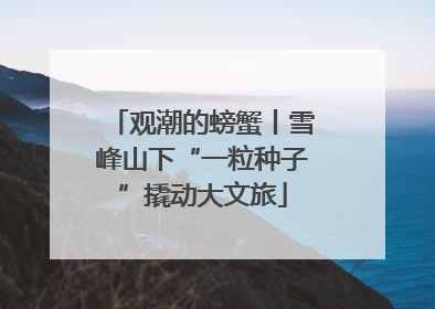 观潮的螃蟹丨雪峰山下“一粒种子”撬动大文旅
