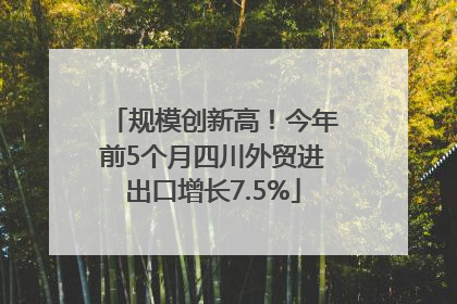 规模创新高！今年前5个月四川外贸进出口增长7.5%