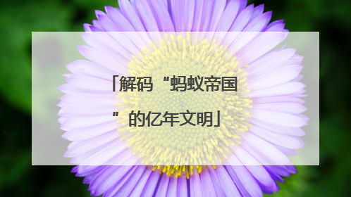 解码“蚂蚁帝国”的亿年文明