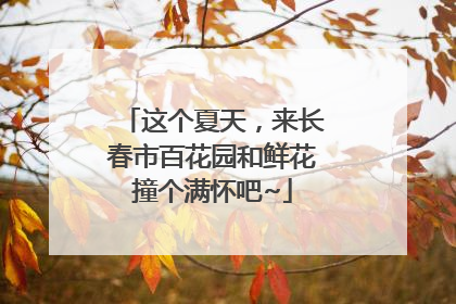 这个夏天，来长春市百花园和鲜花撞个满怀吧~