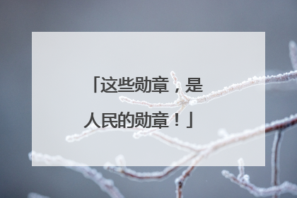 这些勋章，是人民的勋章！