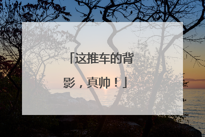 这推车的背影，真帅！