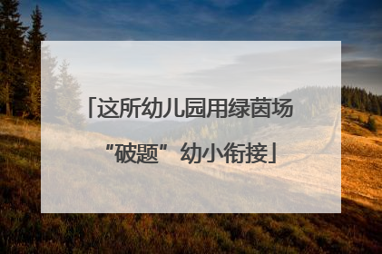 这所幼儿园用绿茵场“破题”幼小衔接