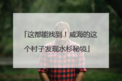 这都能找到！威海的这个村子发现水杉秘境