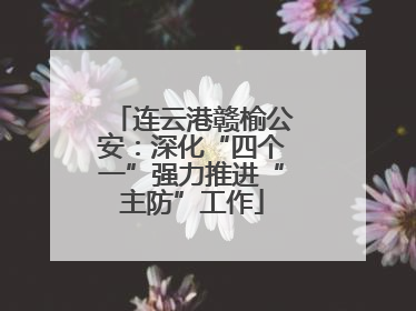 连云港赣榆公安：深化“四个一”强力推进“主防”工作