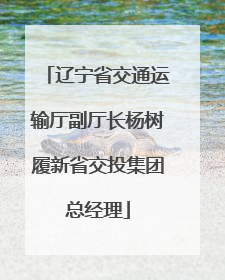 辽宁省交通运输厅副厅长杨树履新省交投集团总经理