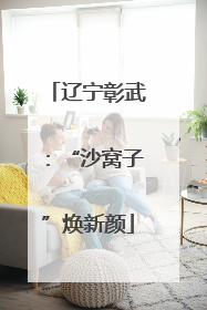 辽宁彰武：“沙窝子”焕新颜
