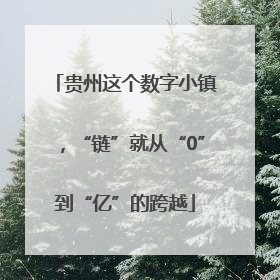 贵州这个数字小镇，“链”就从“0”到“亿”的跨越
