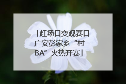 赶场日变观赛日 广安彭家乡“村BA”火热开赛