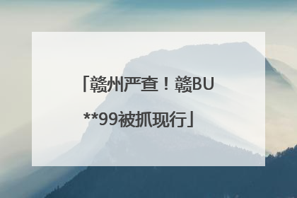 赣州严查！赣BU**99被抓现行