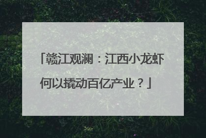 赣江观澜：江西小龙虾何以撬动百亿产业？