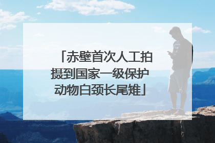 赤壁首次人工拍摄到国家一级保护动物白颈长尾雉